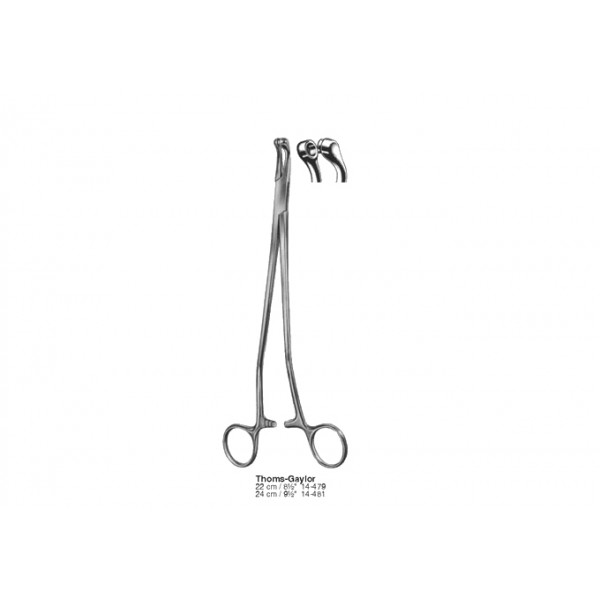 Gynecology, Obstetrics